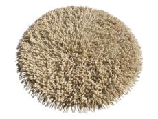 Cream round pasta cotton rug