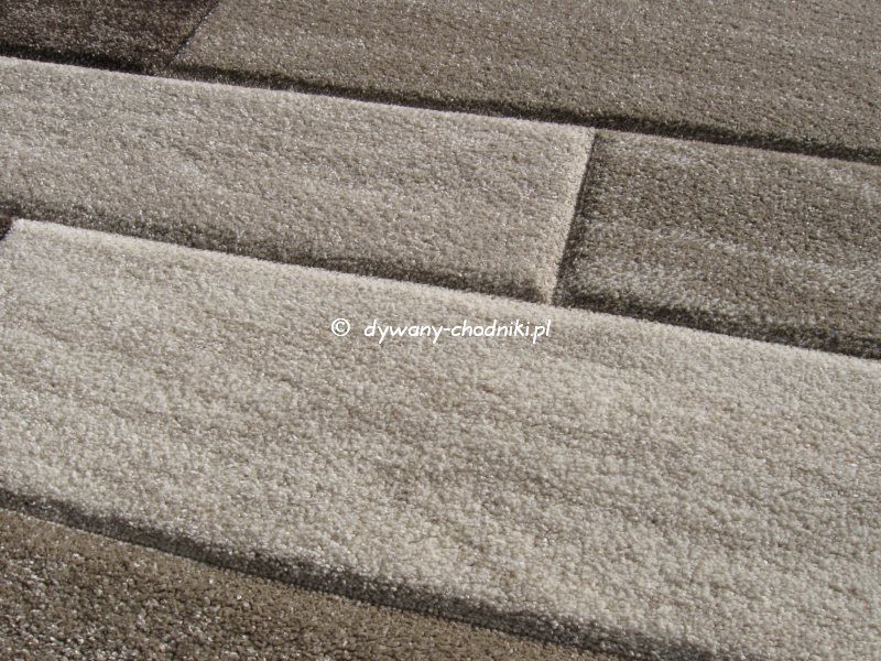 Dywan Rumba 8424a x-vizon